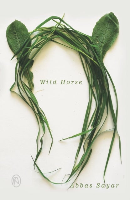 Wild Horse