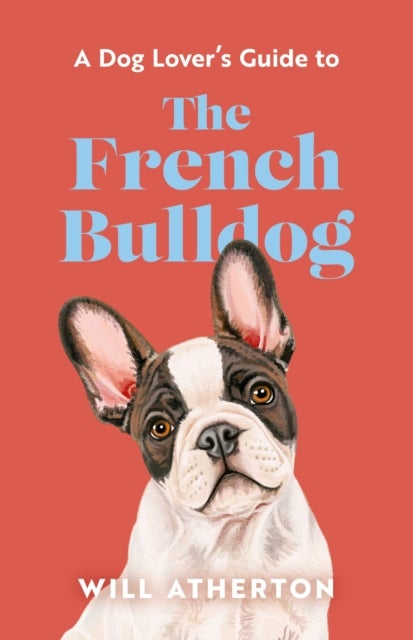 The French Bulldog