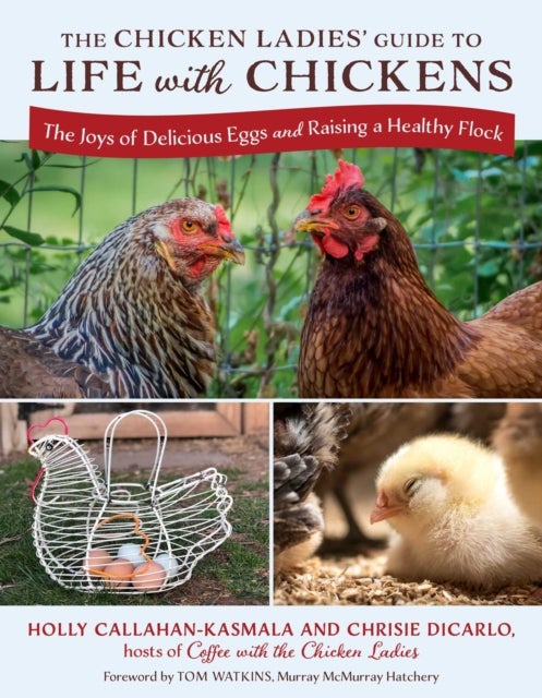 The Chicken Ladies' Guide to Life with Chickens - The Joys of Delicious Eggs and Raising a Healthy Flock