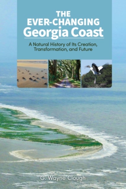The Ever-Changing Georgia Coast - A Natural History of its Creation, Transformation, and Future