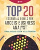 Top 20 Essential Skills for ArcGIS Business Analyst