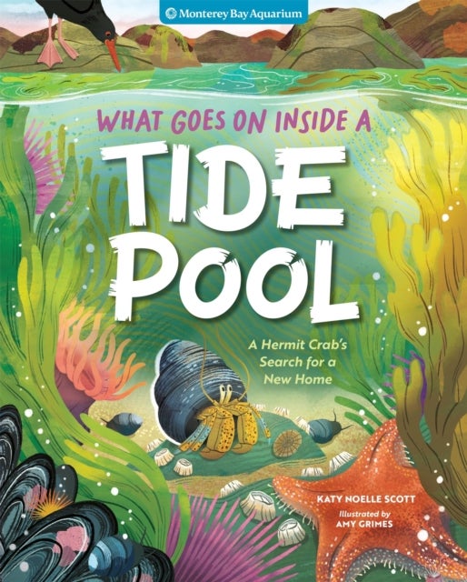 What Goes On Inside a Tide Pool - A Hermit Crab's Search for a New Home