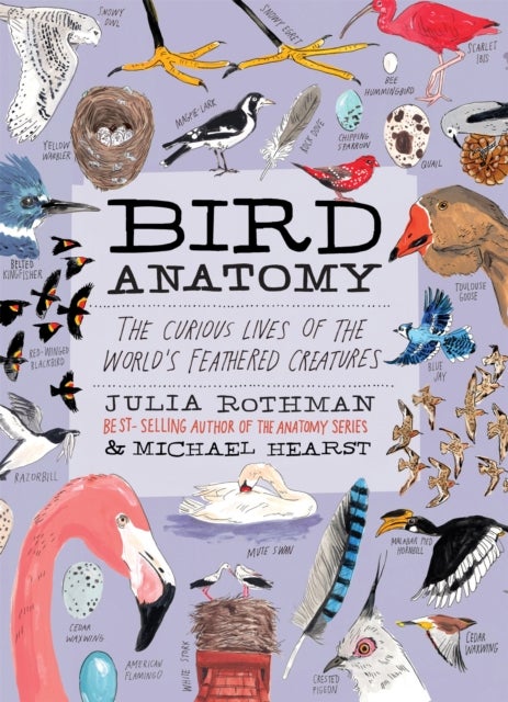 Bird Anatomy - The Curious Lives of the World's Feathered Creatures