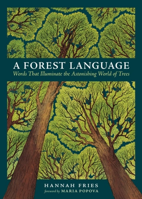 A Forest Language - Words That Illuminate the Astonishing World of Trees
