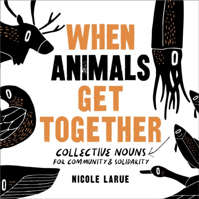 When Animals Get Together - Collective Nouns for Community and Solidarity