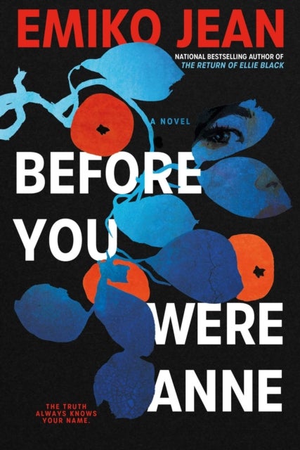 Before You Were Anne - A Novel
