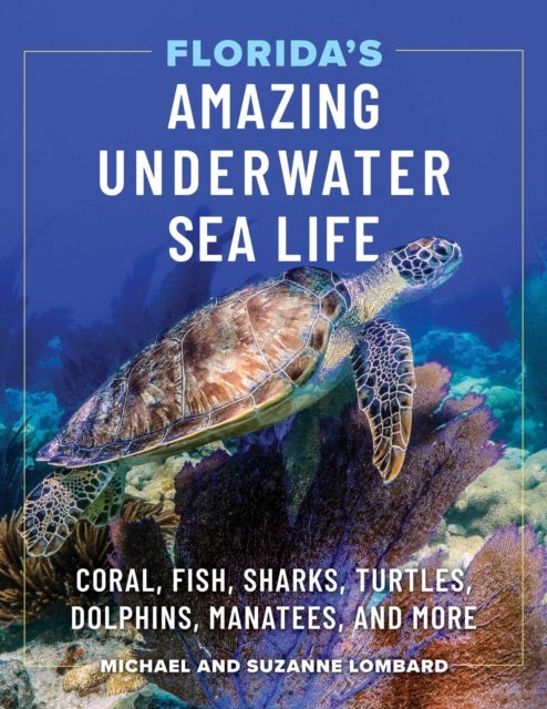 Florida's Amazing Underwater Sea Life - Coral, Fish, Sharks, Turtles, Dolphins, Manatees, and More