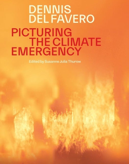 Picturing the Climate Emergency - Dennis Del Favero