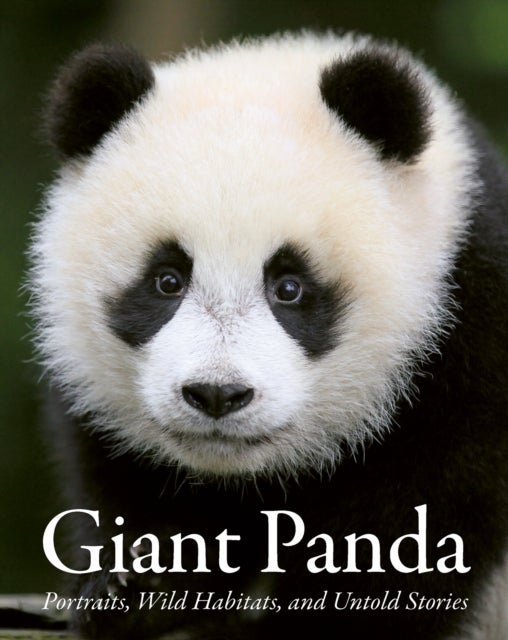 Giant Panda - Portraits, Wild Habitats, and Untold Stories