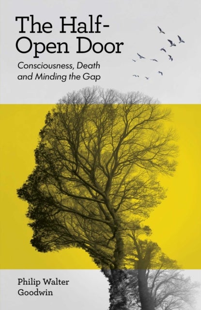 The Half-Open Door - Consciousness, Death and Minding the Gap