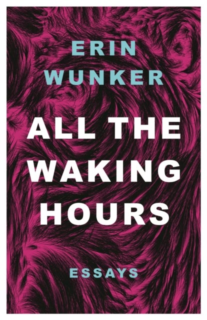 All The Waking Hours - Essays