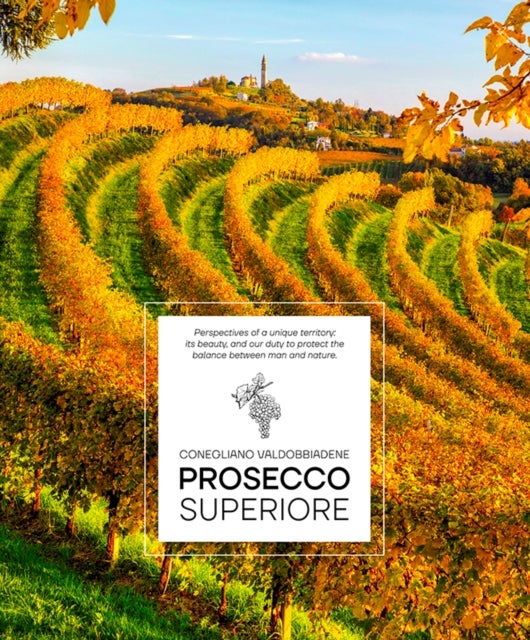 Prosecco Superiore - Conegliano Valdobbiadene — Perspectives of a Unique Territory