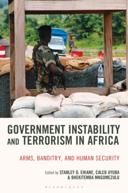 Government Instability and Terrorism in Africa - Arms, Banditry and Human Security