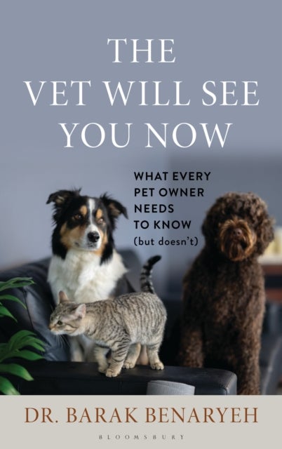 The Vet Will See You Now - What Every Pet Owner Needs to Know (But Doesn't)