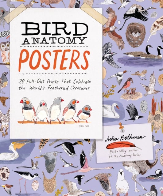 Bird Anatomy Posters - 28 Pull-Out Prints That Celebrate the World's Feathered Creatures