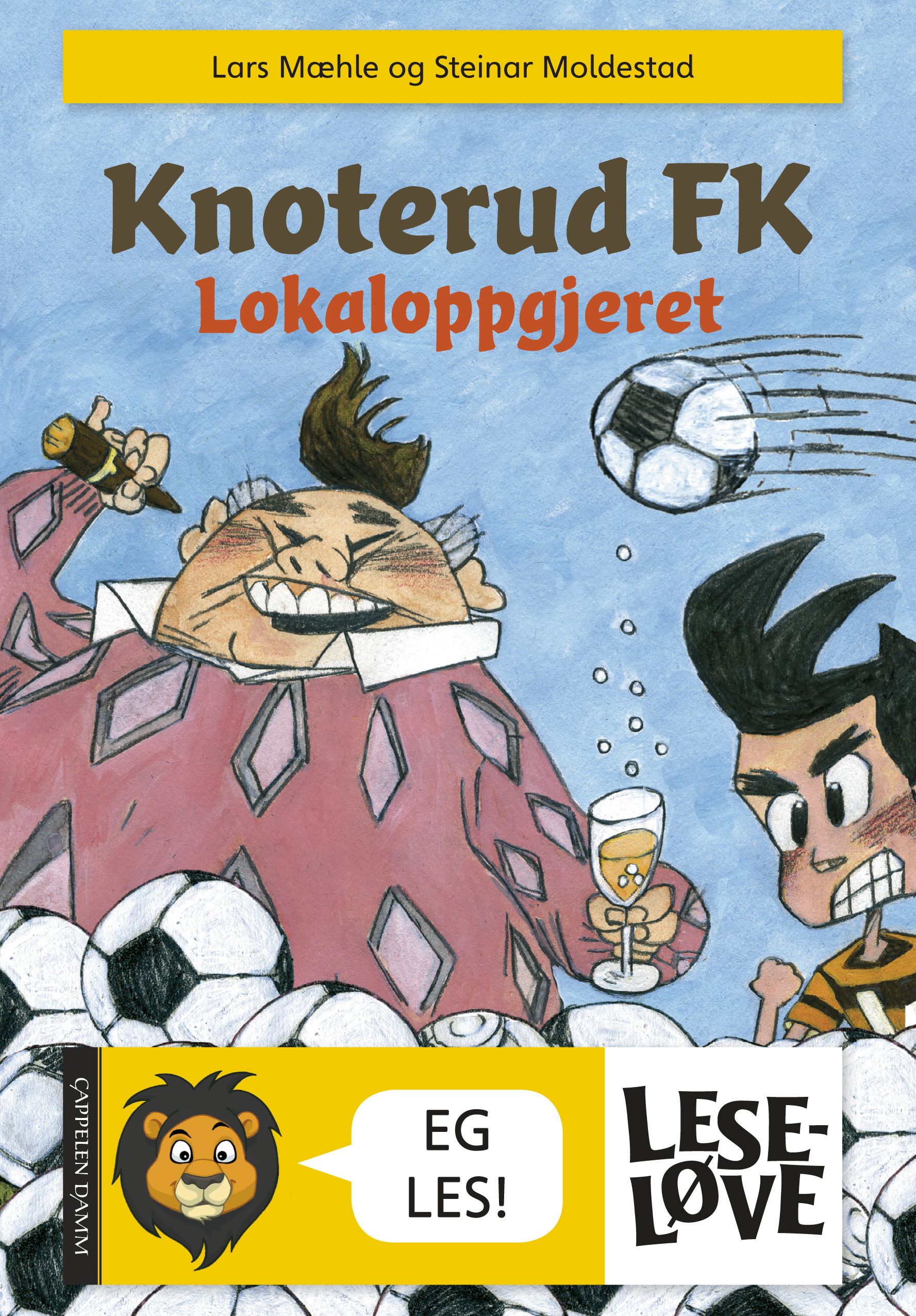 Knoterud FK