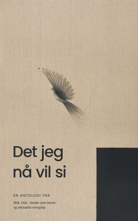 Det jeg nå vil si - en antologi fra Nok. Oslo – Senter mot incest og seksuelle overgrep