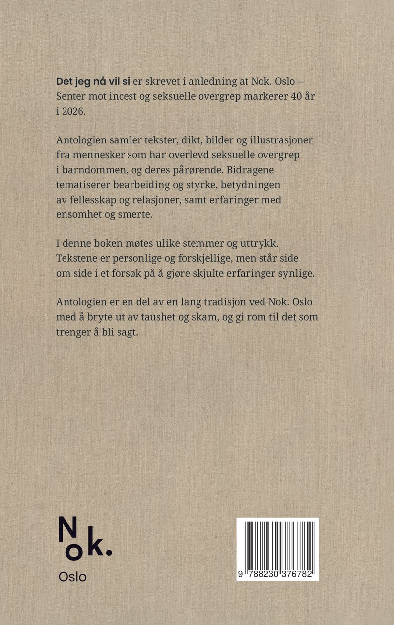 Det jeg nå vil si