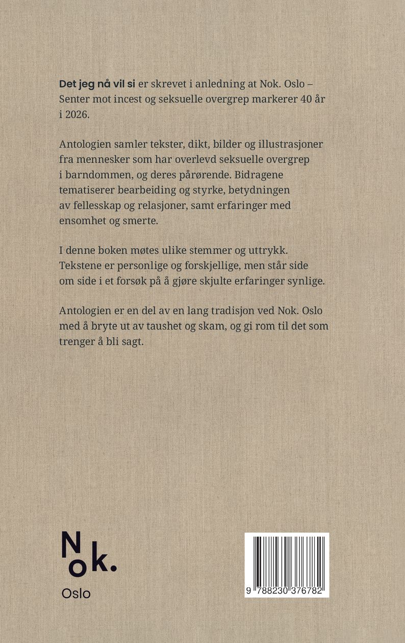 Det jeg nå vil si