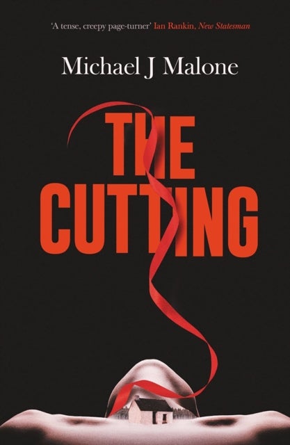 The Cutting - The dark spine-tingling new Annie Jackson mystery
