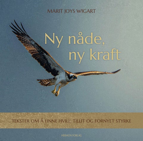 Ny nåde, ny kraft - tekster om å finne hvile, ny tillit og fornyet styrke