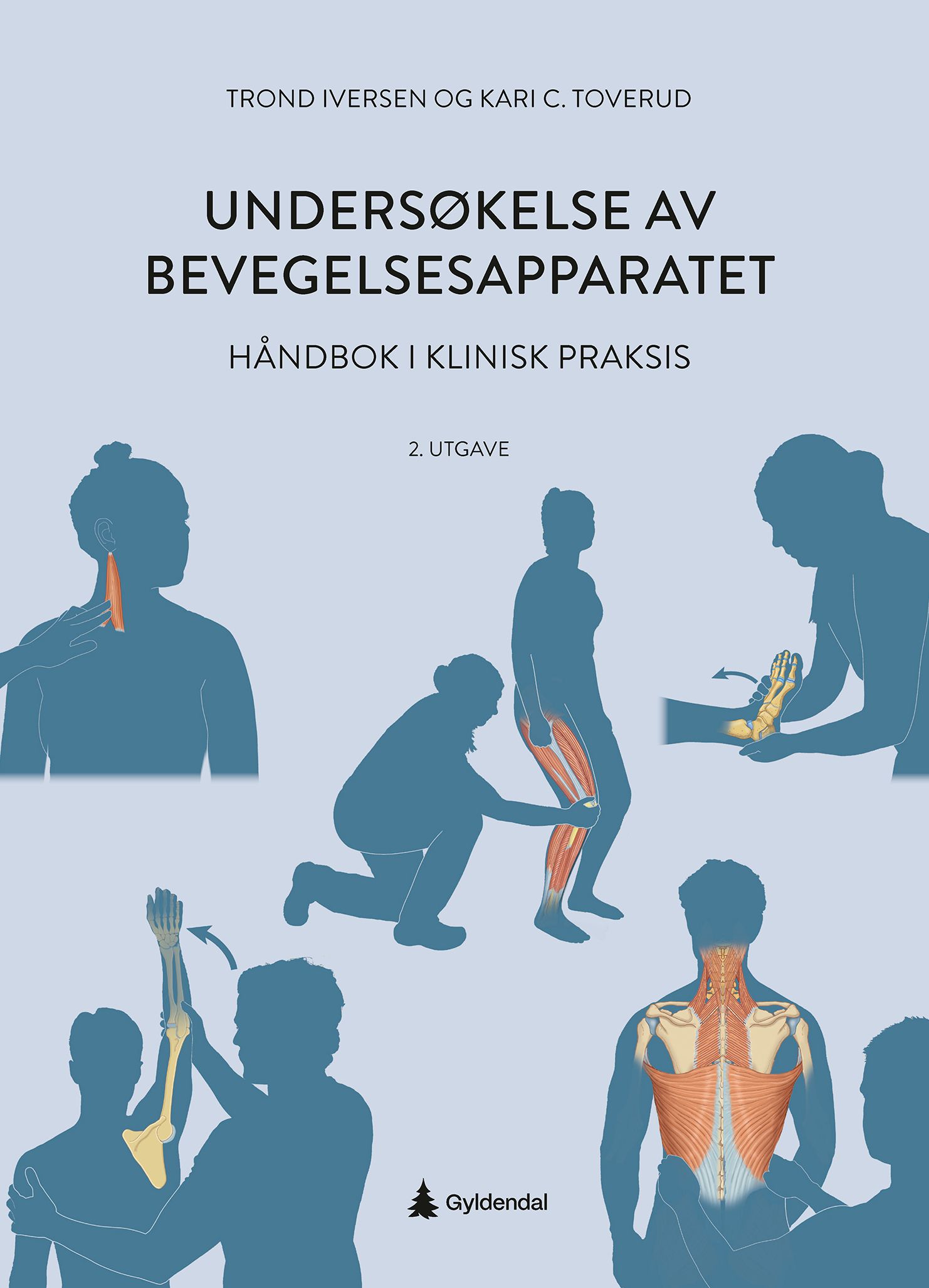 Undersøkelse av bevegelsesapparatet