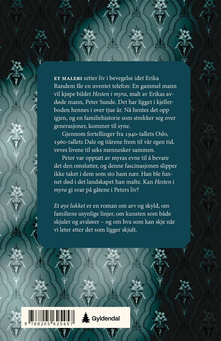 Et øye lukket