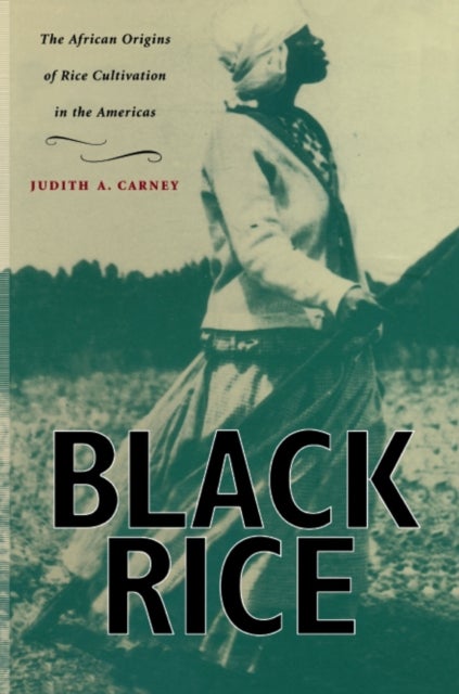 Black Rice - The African Origins of Rice Cultivation in the Americas