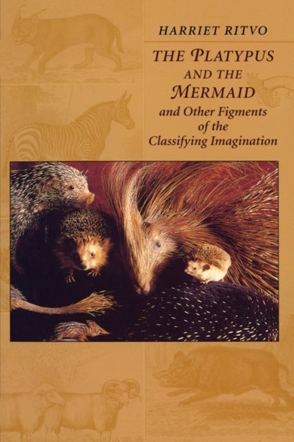 The Platypus and the Mermaid - And Other Figments of the Classifying Imagination