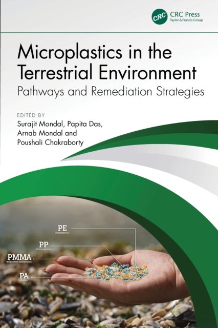 Microplastics in the Terrestrial Environment - Pathways and Remediation Strategies