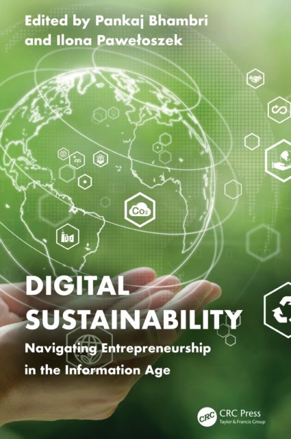 Digital Sustainability - Navigating Entrepreneurship in the Information Age