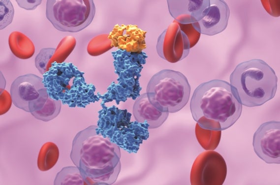 Systemic Anti-Cancer Therapy for Nurses - A Guide to Principles, Practice and Care