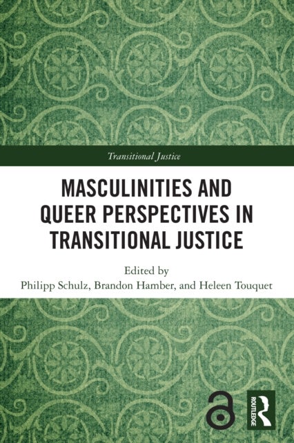 Masculinities and Queer Perspectives in Transitional Justice