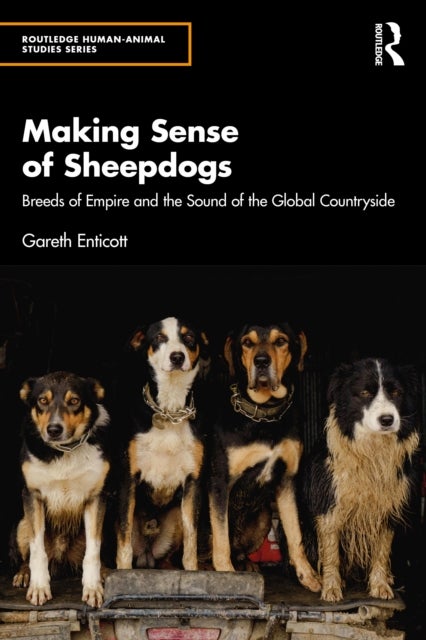 Making Sense of Sheepdogs - Breeds of Empire and the Sound of the Global Countryside