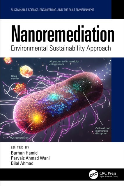 Nanoremediation - Environmental Sustainability Approach