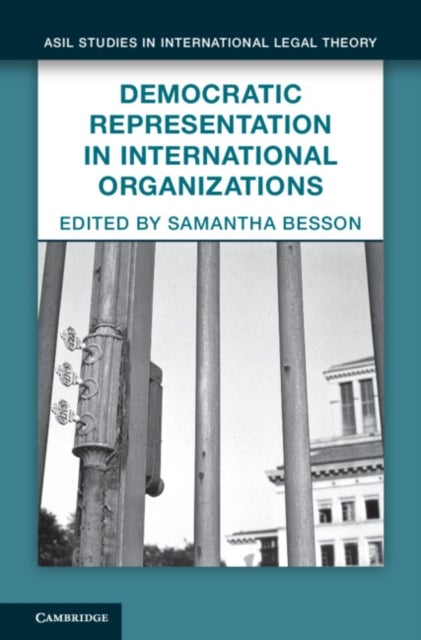 Democratic Representation in International Organizations