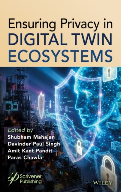 Ensuring Privacy in Digital Twin Ecosystems