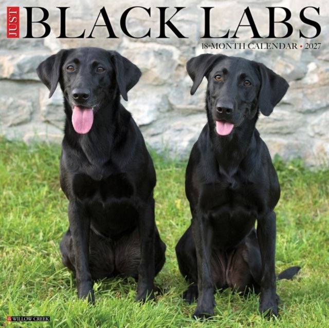 Black Labs 2027 Wall