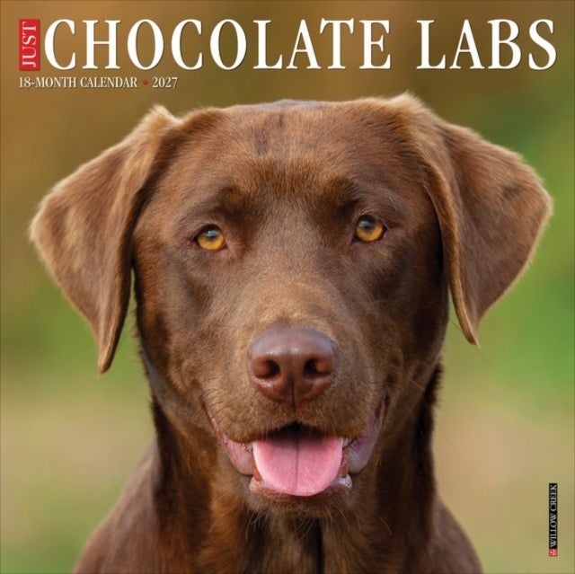 Chocolate Labs 2027 Wall