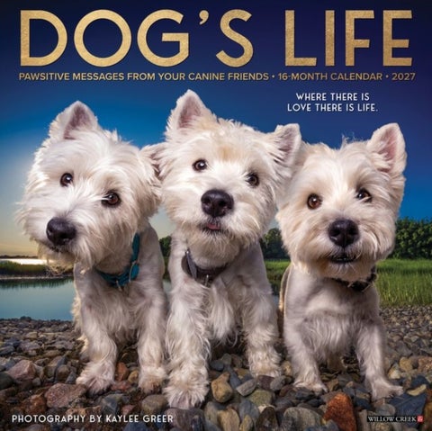 Dog's Life 2027 Wall