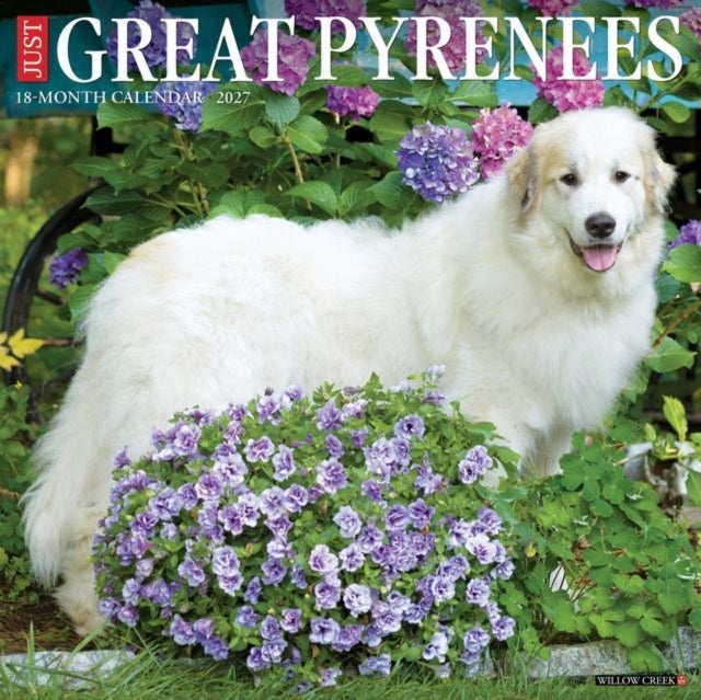 Great Pyrenees 2027 Wall