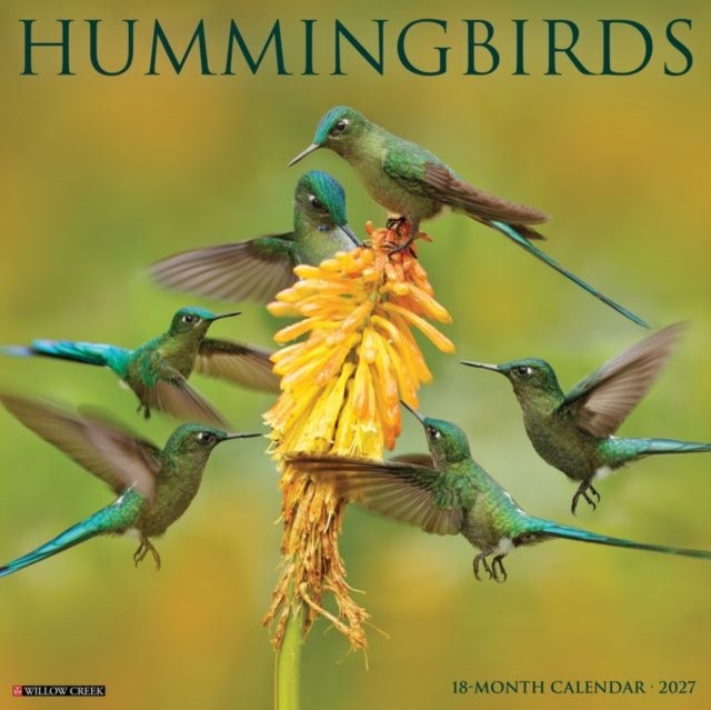 Hummingbirds 2027 Wall