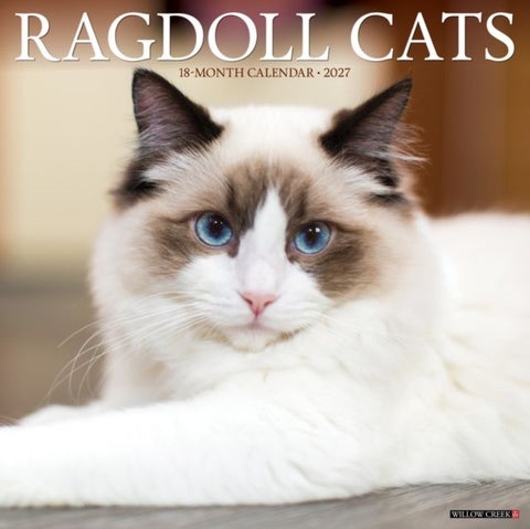 Ragdoll Cats 2027 Wall