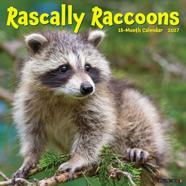 Rascally Raccoons 2027 Wall