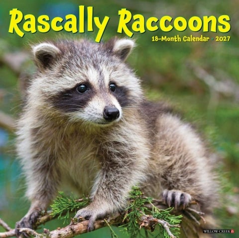 Rascally Raccoons 2027 Wall