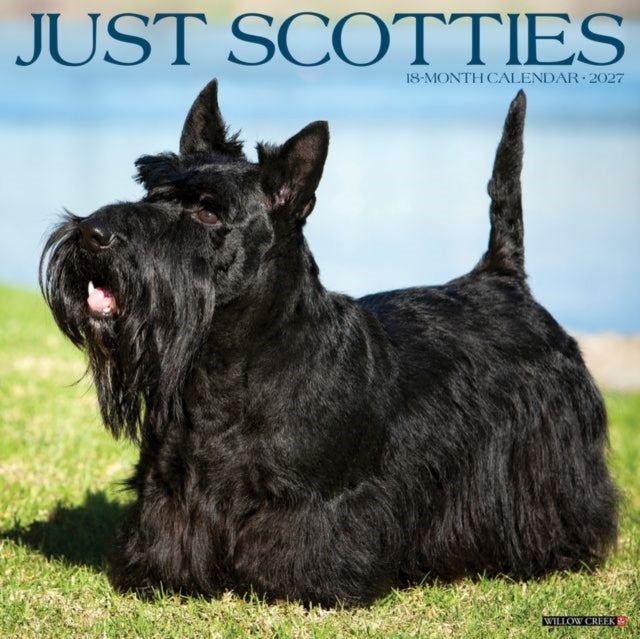 Scotties 2027 Wall