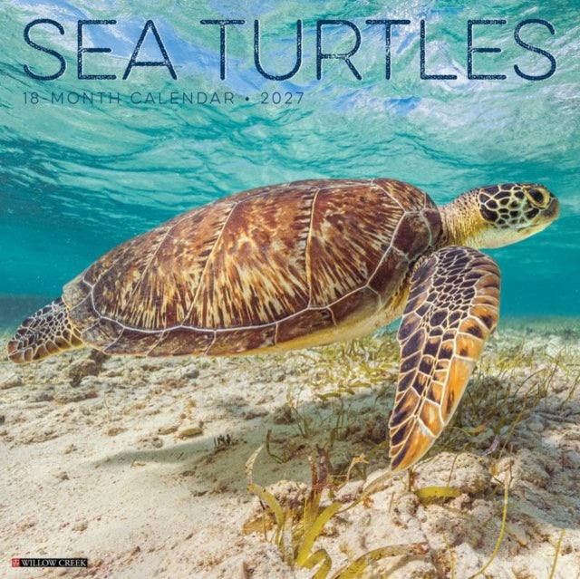 Sea Turtles 2027 Wall