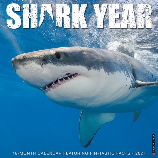 Shark Year 2027 Wall