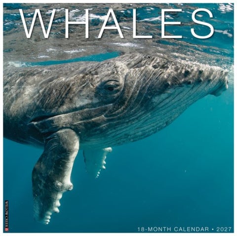 Whales 2027 Wall
