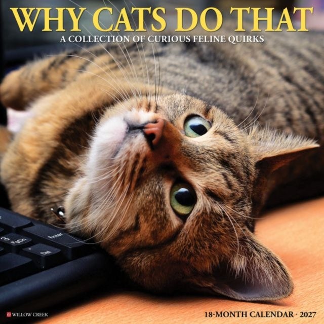 Why Cats Do That 2027 Wall